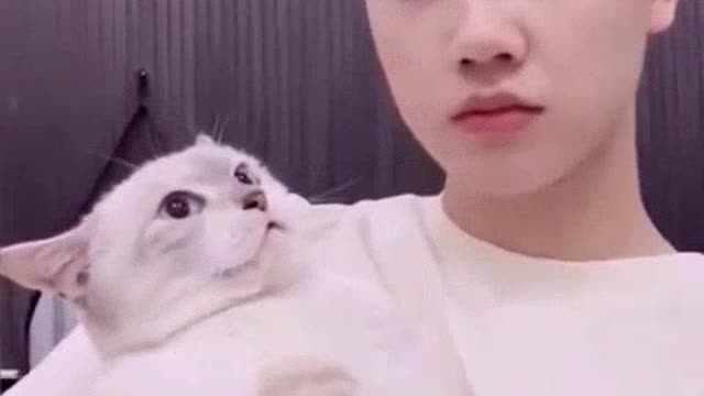 Funny Animals animal funnyanimal dogs