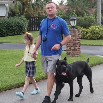 Why My Dog Is Off Leash