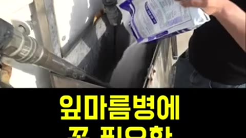 [한국농수산TV] 잎마름병에 꼭 필요한 영양비료 K플러스를 아시나요.