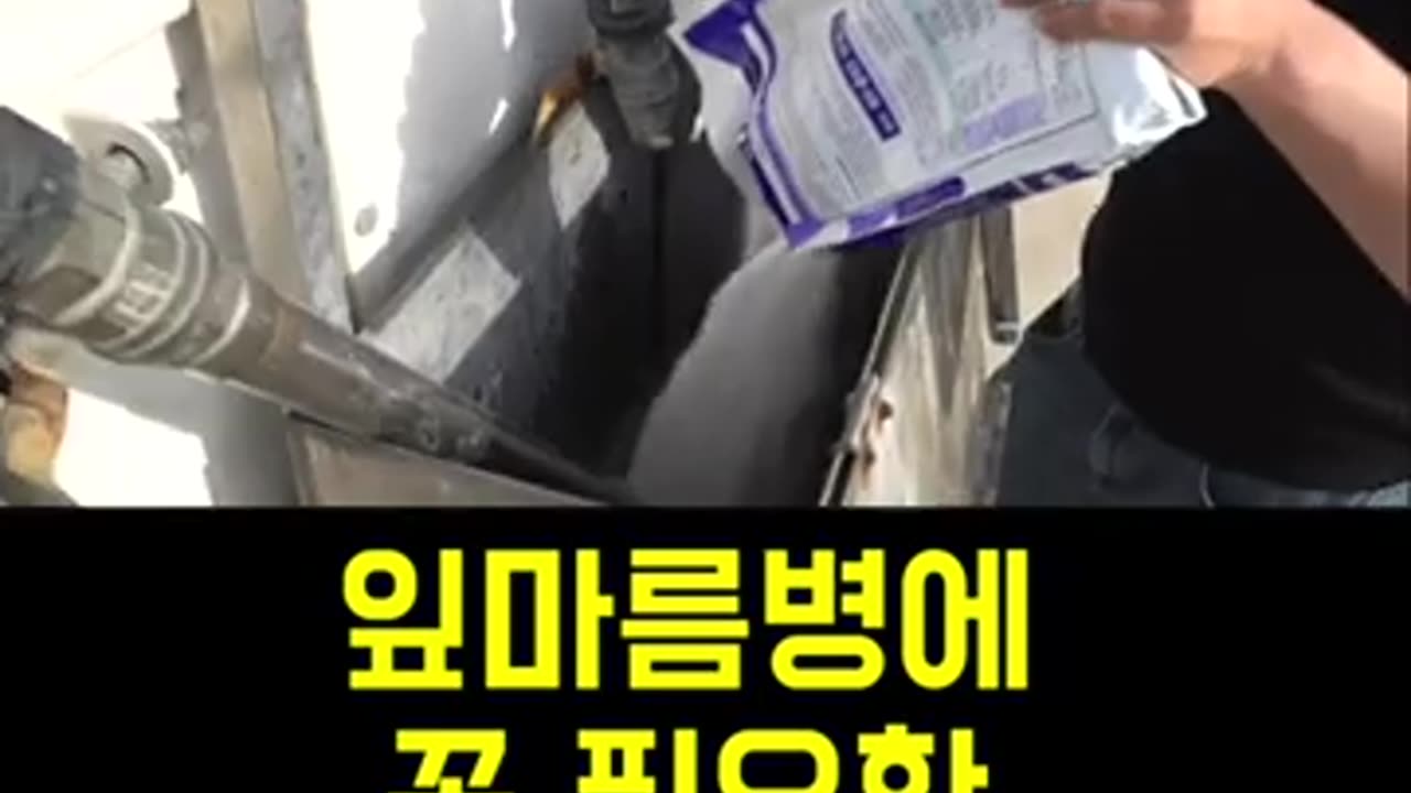 [한국농수산TV] 잎마름병에 꼭 필요한 영양비료 K플러스를 아시나요.