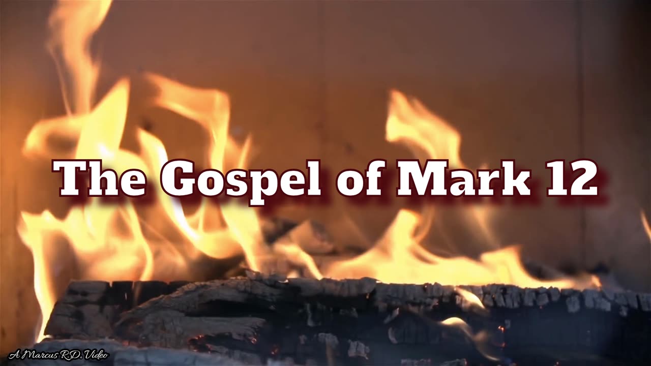 The Gospel of Mark 12