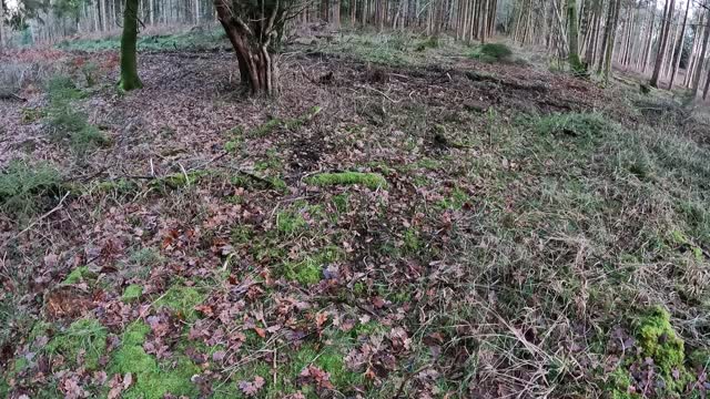 Digging a poo hole/cat hole in the woods 19th Jan 2023