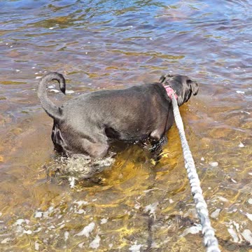 Max Cooling off in the river