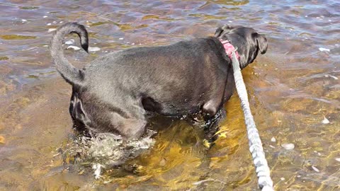 Max Cooling off in the river