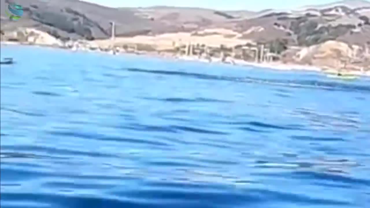 Whale eats Kayak boat with 2 people