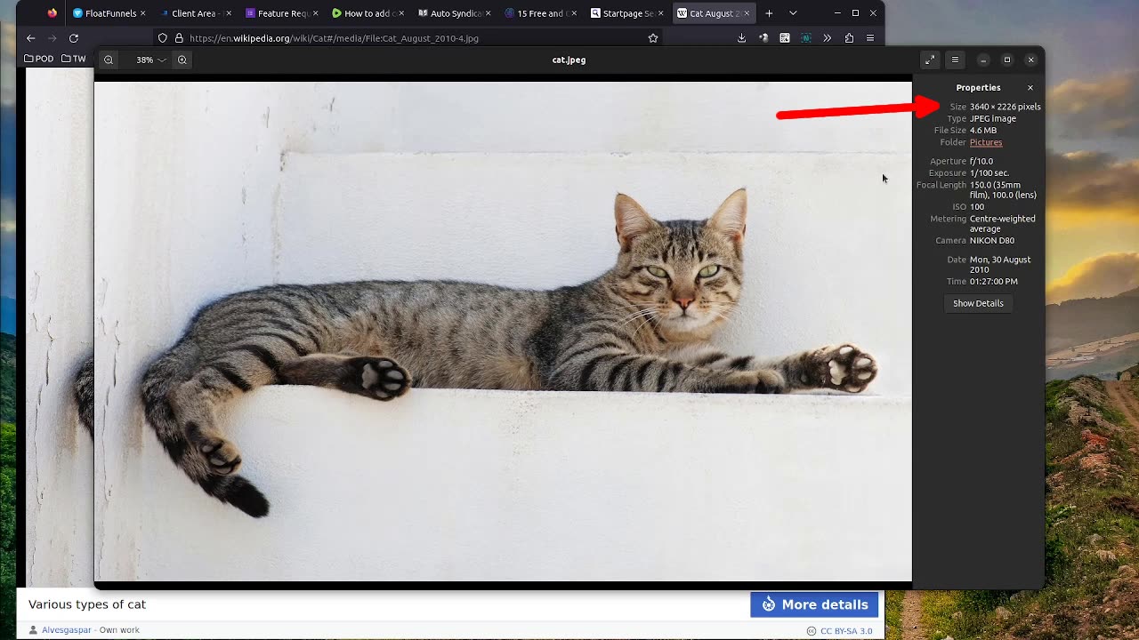 How To Add An Image And Change It's Size In Float Funnels
