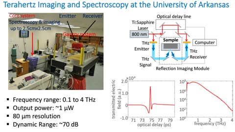 IEEE: Terahertz Imaging for Margin Assessment of Excised Breast Cancer