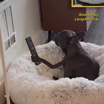 Exploring Bird Habitats Through Art