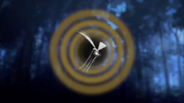 The Secret Study Of Seeing With Sound - Sonic Magic