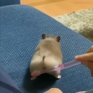 What’s going on here 🤣🤣