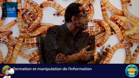 URSS PHASE TERMINALE UQUAM