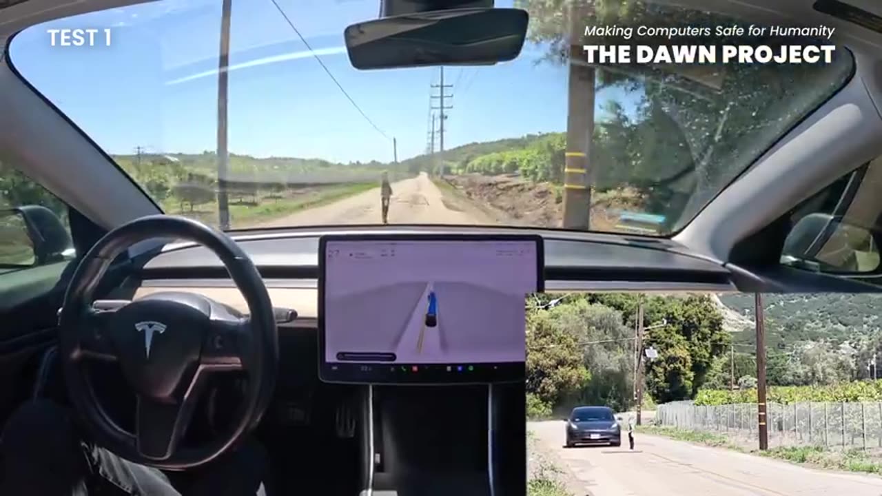 Teslas Hitting People