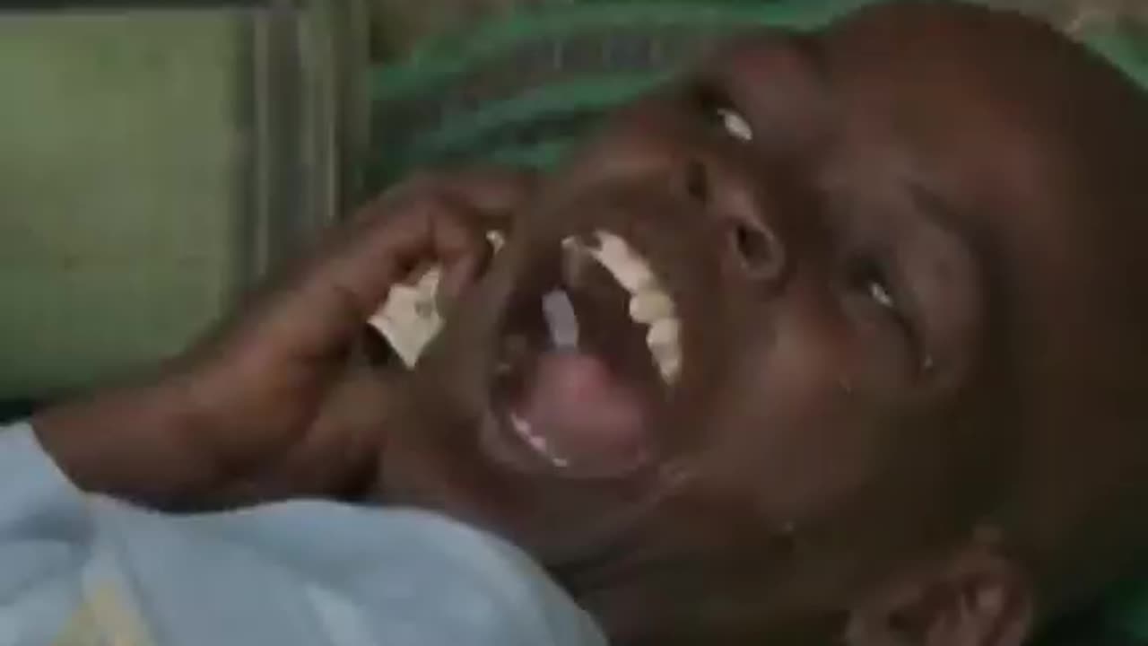 Pfizer Test 1996 Englisch