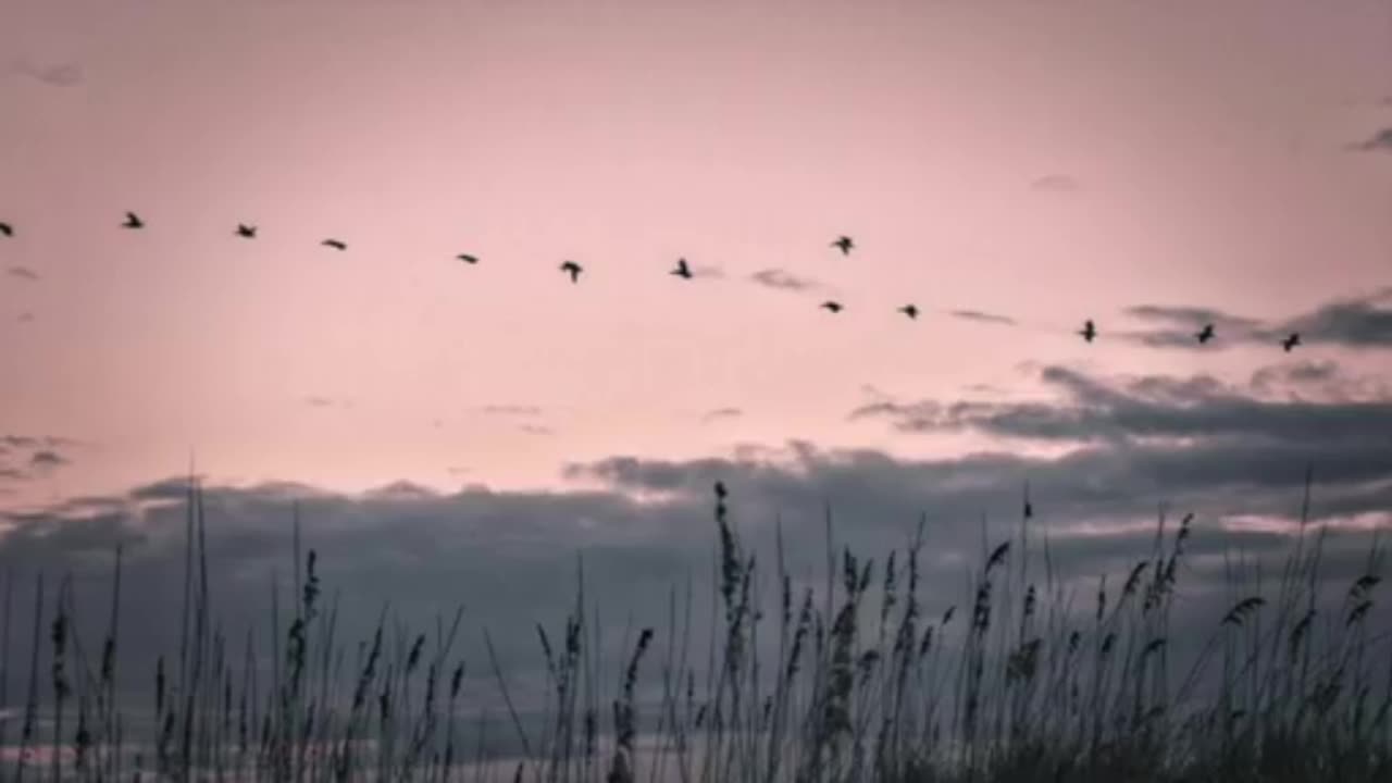 2023.02.07-Eliseo.Bonanno-AWAKENS CONSCIOUSNESS