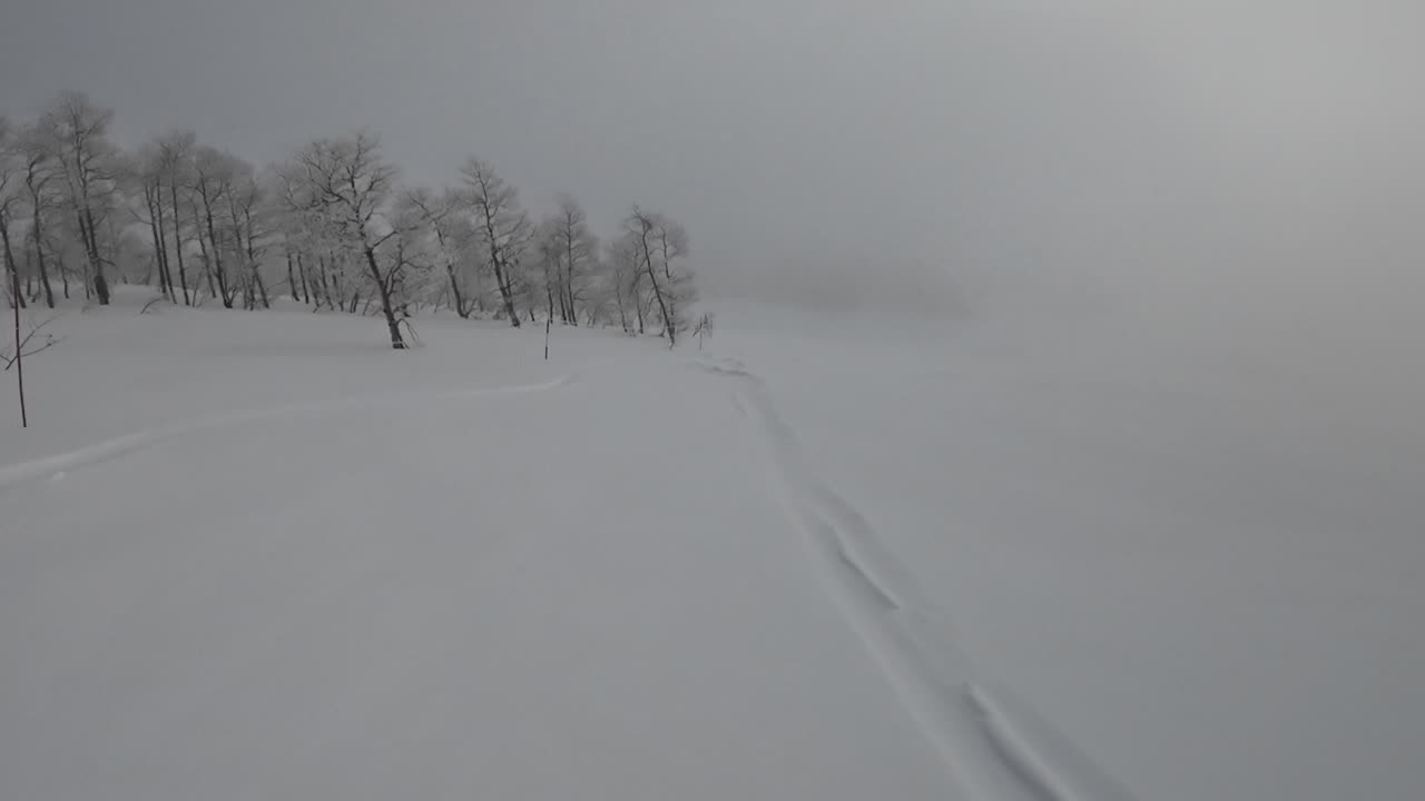 Feb 7th Ist run down Mary's boundry zero visibility good snow