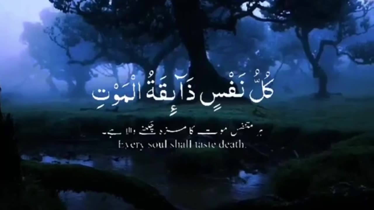 Most Beautiful recitation of the Quran