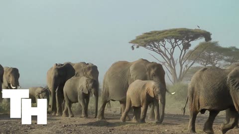 Kenya