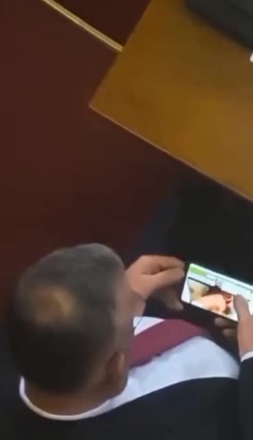 Serbian MP Zvonimir Stevic was forced to resign for simply watching porn