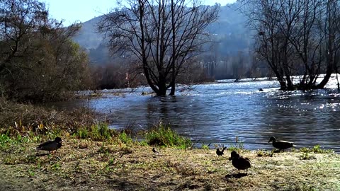 Beautiful Miño River as it passes through the Muiño da Veiga hot springs in Ourense, Galicia