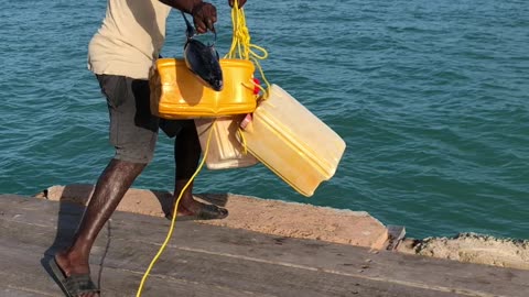 Thrilling Quest: Battling Tobago's Most Dangerous Shark