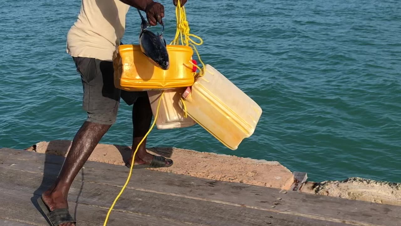 Thrilling Quest: Battling Tobago's Most Dangerous Shark