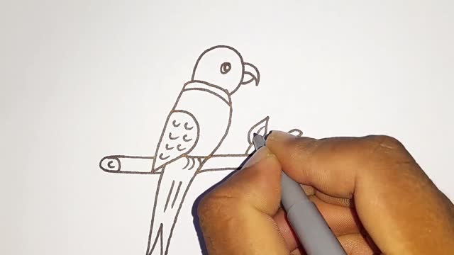 Bird Drawing Easy Step By Step Drawing l Bird Drawing