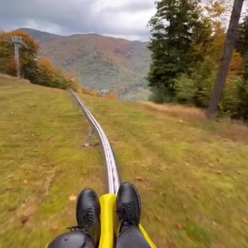 My Collection Adventur#2