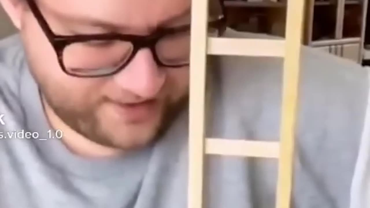 Cats funny video