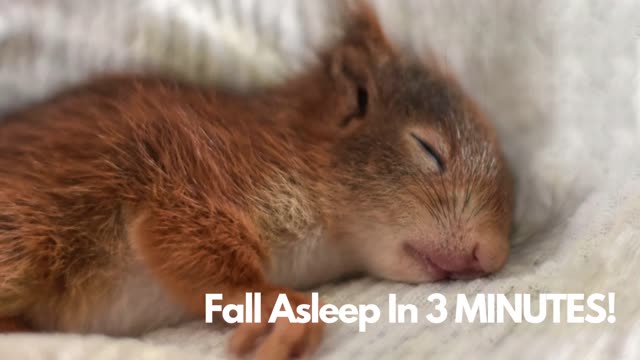 Fall asleep in 3 minutes ! meditation music #1