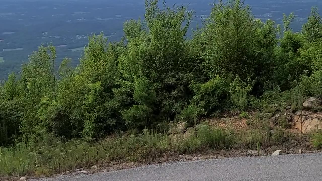 You can see three states from the front porch