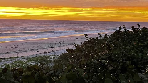Early Morning Walk River & Beach