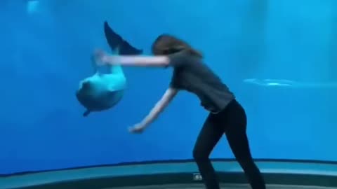 The dolphin really started to do flips with her 😂