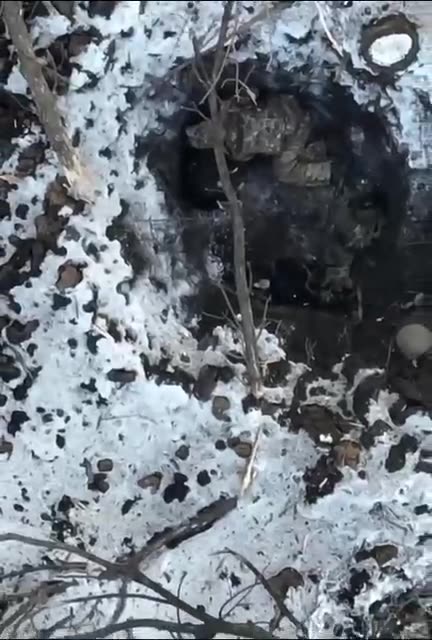 Should I Stay or Should I Go?