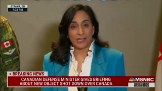 Canadian Defence Minister on object Feb 11