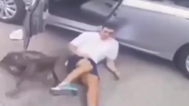 We've all done it, but we've never been caught on camera. Poor dog.