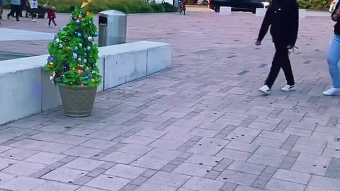 Christmas Bush #orlandobushman #viral #pranks #funny