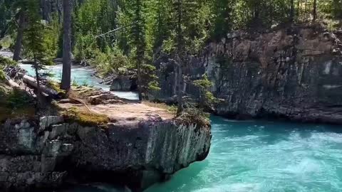Awesome Nature
