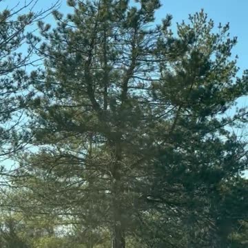 China spy balloon spotted over St. Louis Missouri on Friday afternoon