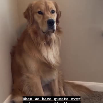 Totally unnecessary, mom!