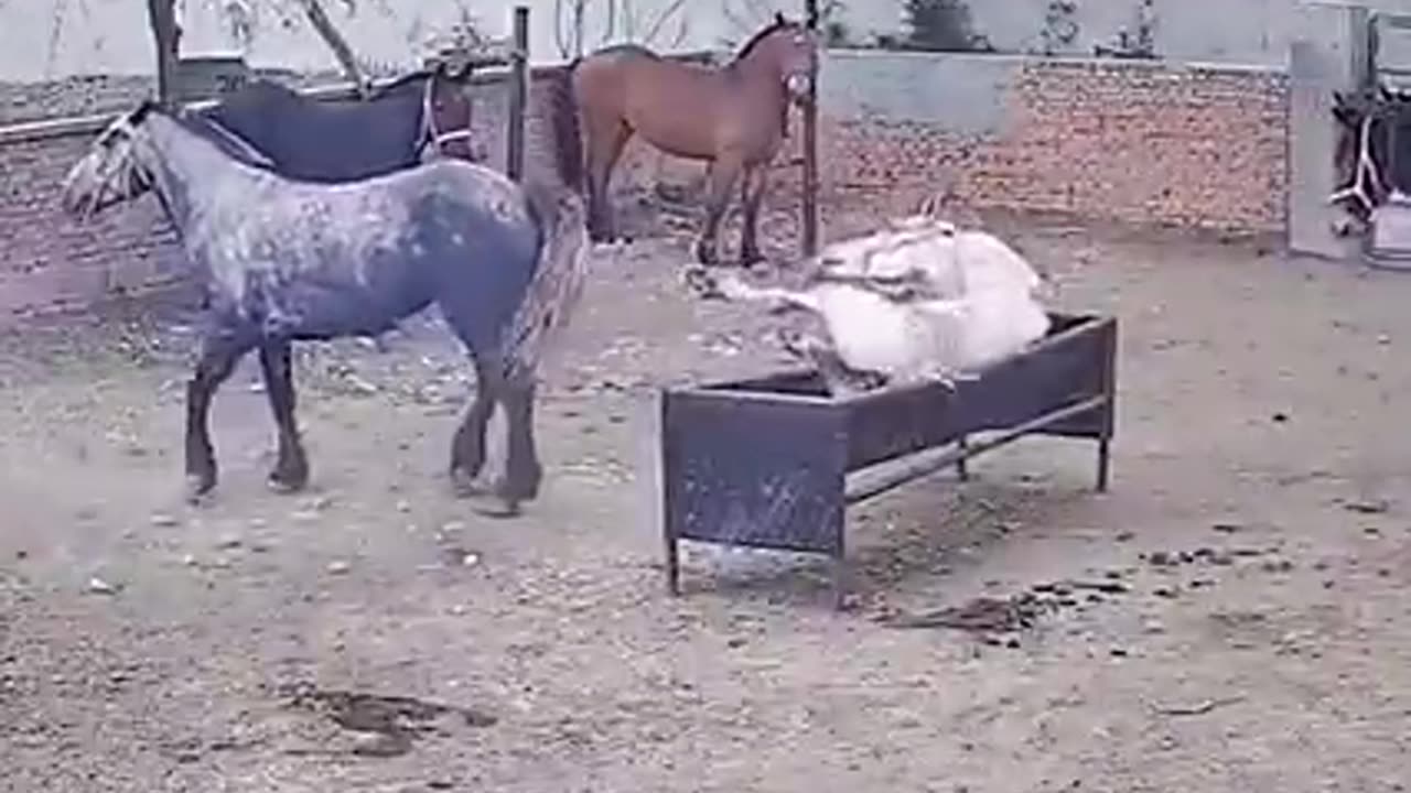Take this fun😂😂😆🤣🤣