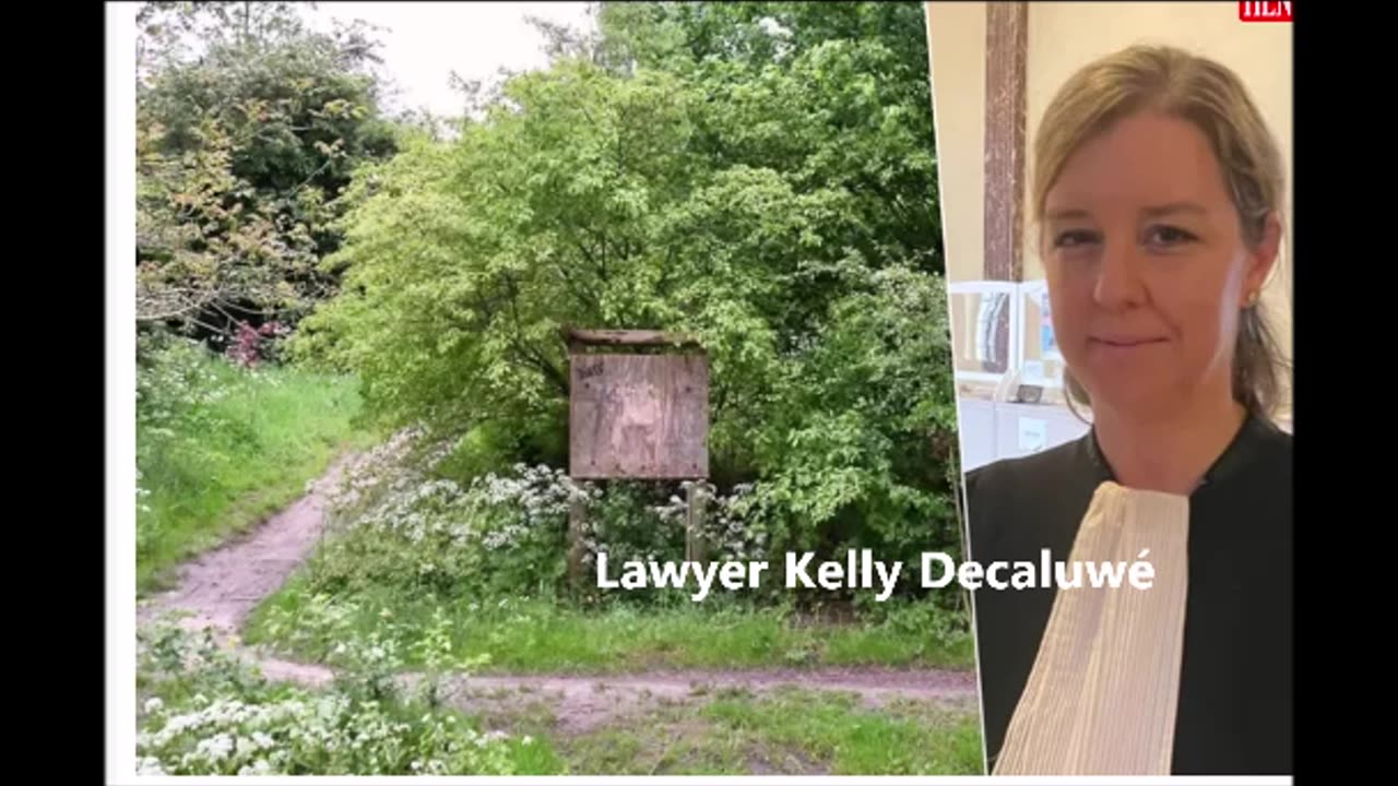 Today's Terrible Judge: Kelly Decaluwé