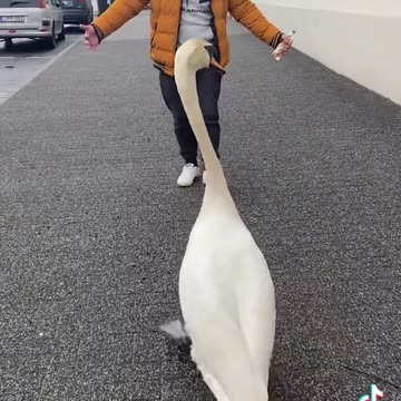 НЕЩО КРАСИВО