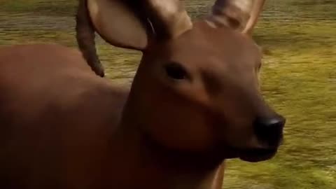 3 Animals That Cause Their Own Death!