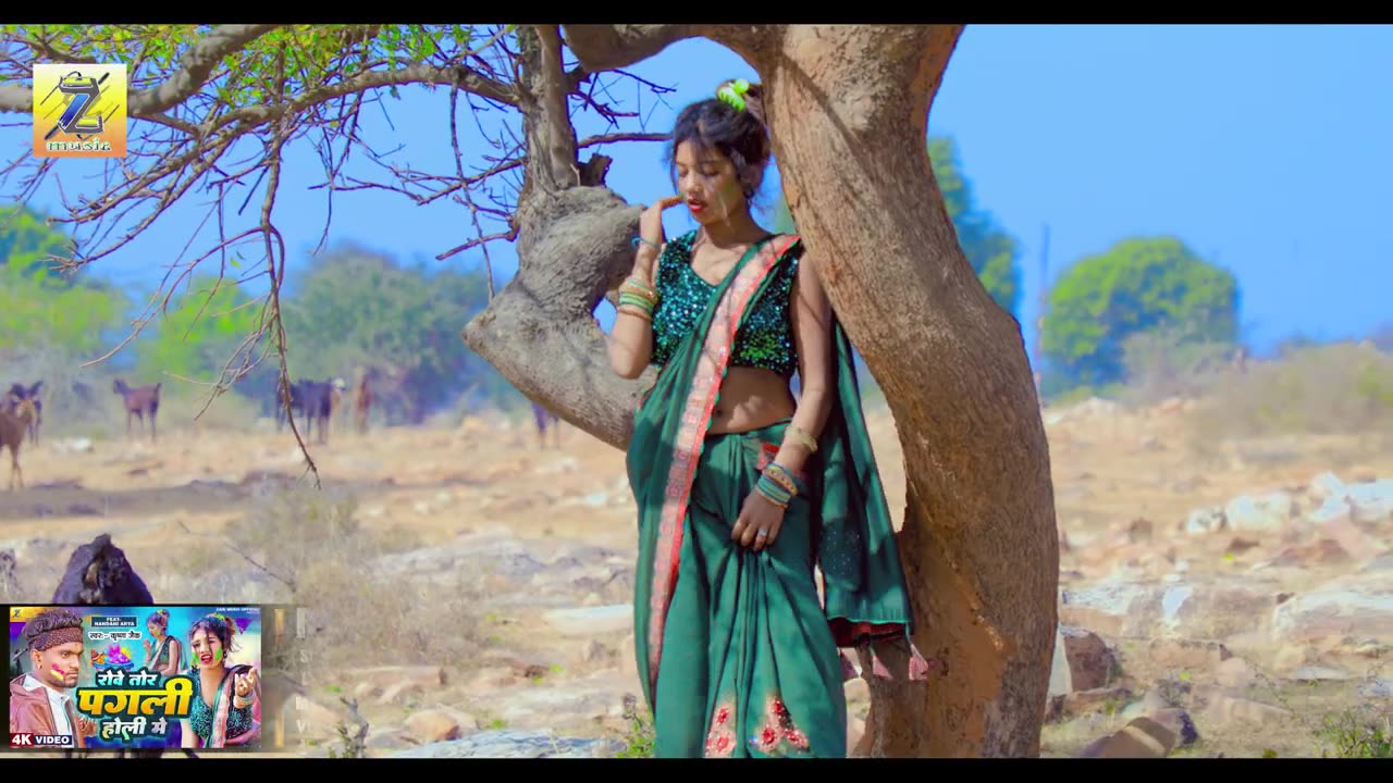 रोवे तोर पगली होली में | Krishna Zaik Holi Sad Song Video | ft Nadani arya