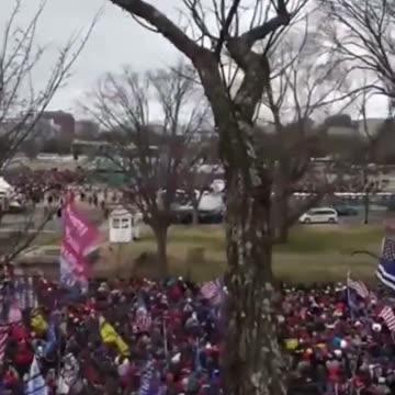 This Is What They Fear