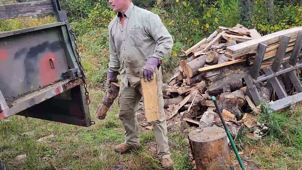 Worked on the woodshed and more firewood