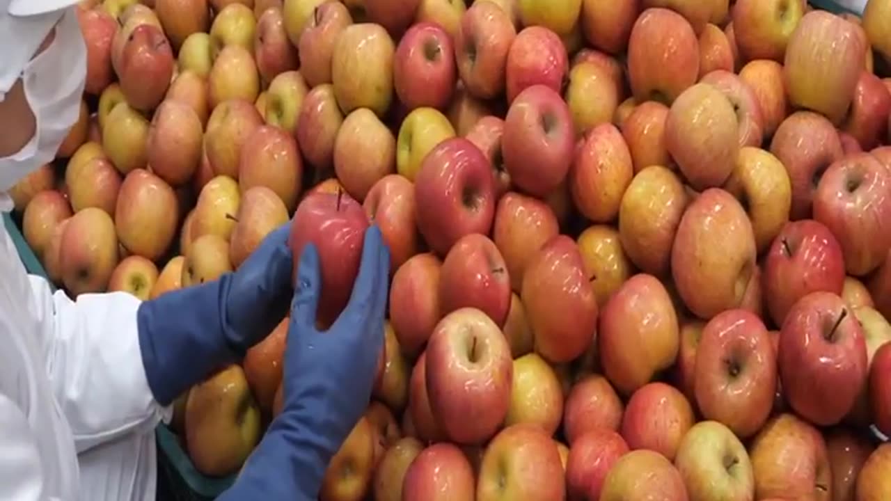 Natural apple juice factory incredible process
