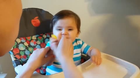 Best Videos of Cute Babies Eating Lemons for the first tome - Try Not to laugh