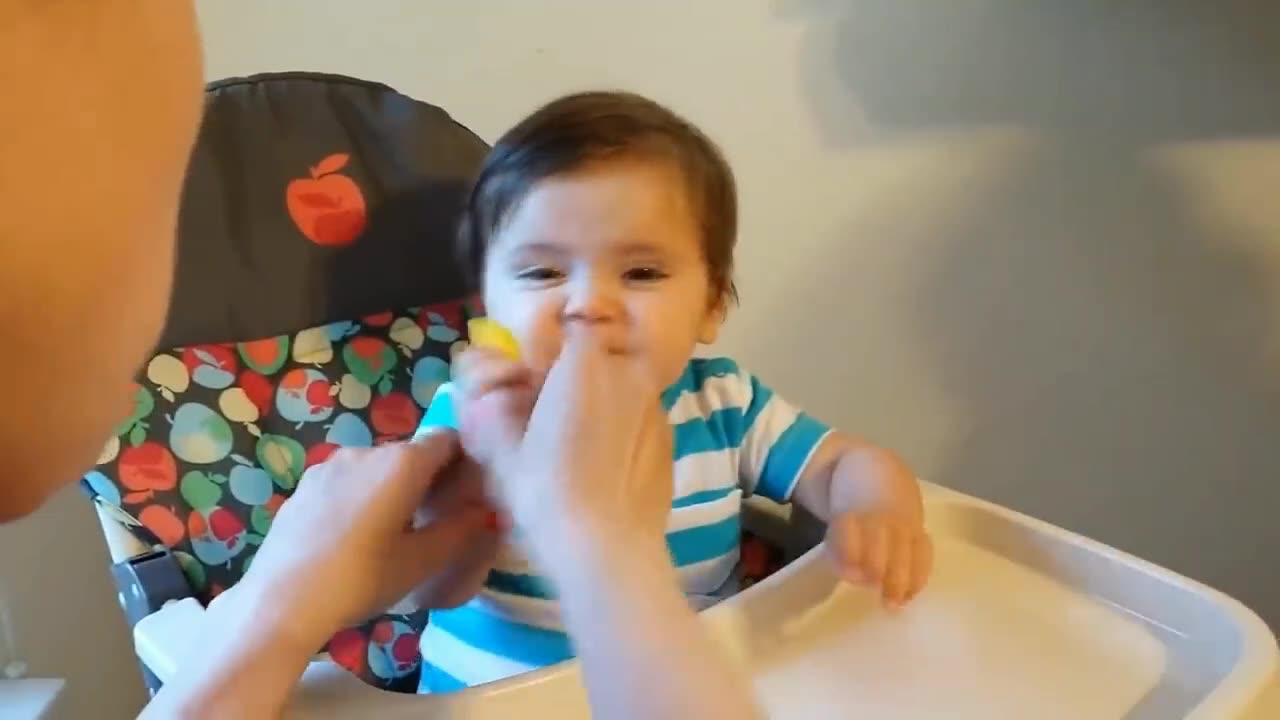 Best Videos of Cute Babies Eating Lemons for the first tome - Try Not to laugh