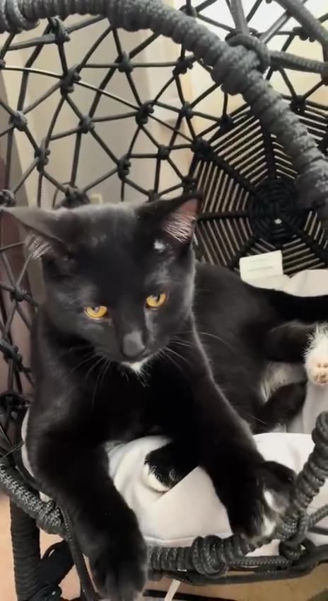 No option but to love me now 😂😂😂